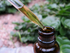 Elephant Kratom Tincture